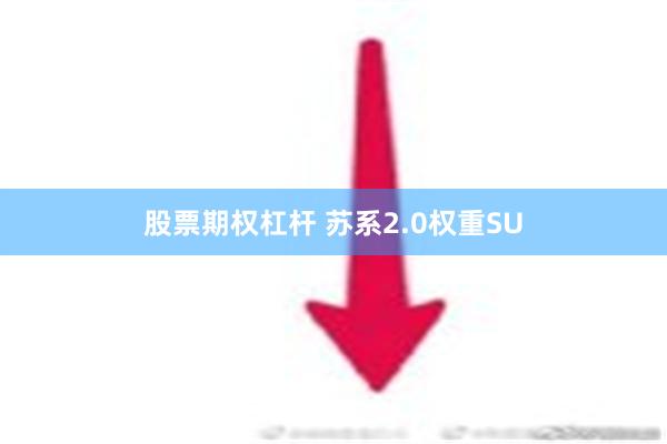 股票期权杠杆 苏系2.0权重SU