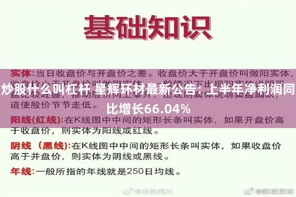 炒股什么叫杠杆 星辉环材最新公告: 上半年净利润同比增长66.04%