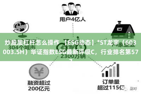 炒股加杠杆怎么操作 【ESG动态】*ST龙宇（603003.SH）华证指数ESG最新评级C，行业排名第57