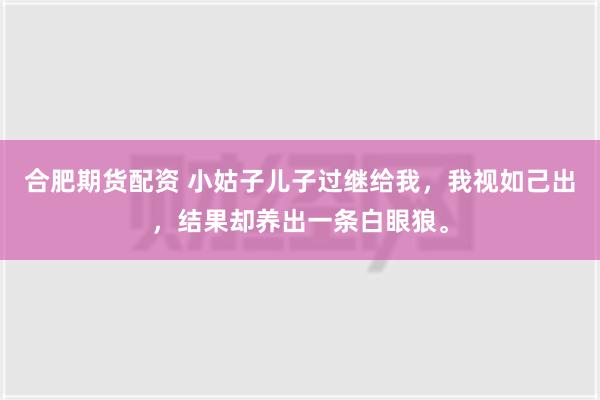 合肥期货配资 小姑子儿子过继给我，我视如己出，结果却养出一条白眼狼。