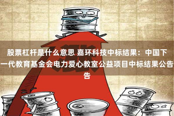 股票杠杆是什么意思 嘉环科技中标结果：中国下一代教育基金会电力爱心教室公益项目中标结果公告