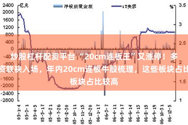 炒股杠杆配资平台 “20cm连板王”又涨停！多路游资联袂入场，年内20cm连板牛股梳理，这些板块占比较高