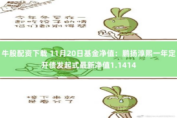 牛股配资下载 11月20日基金净值：鹏扬淳熙一年定开债发起式最新净值1.1414