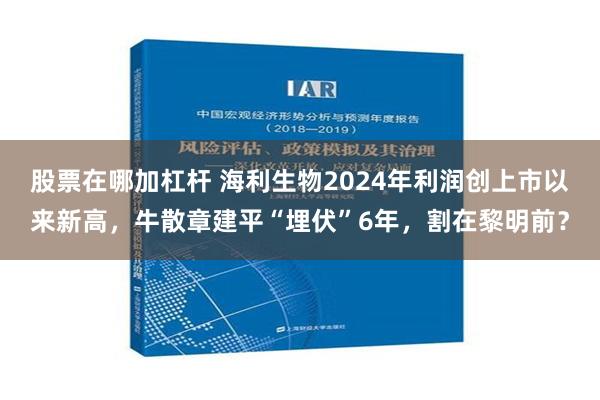 股票在哪加杠杆 海利生物2024年利润创上市以来新高，牛散章建平“埋伏”6年，割在黎明前？